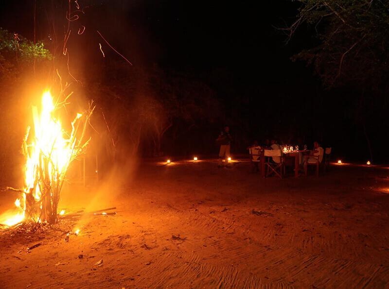 Yala Hotel Lion -Air Conditioned High Luxury Safari Camp Екстериор снимка