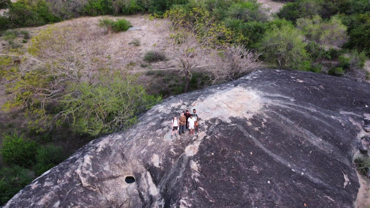 Yala Hotel Lion -Air Conditioned High Luxury Safari Camp Екстериор снимка