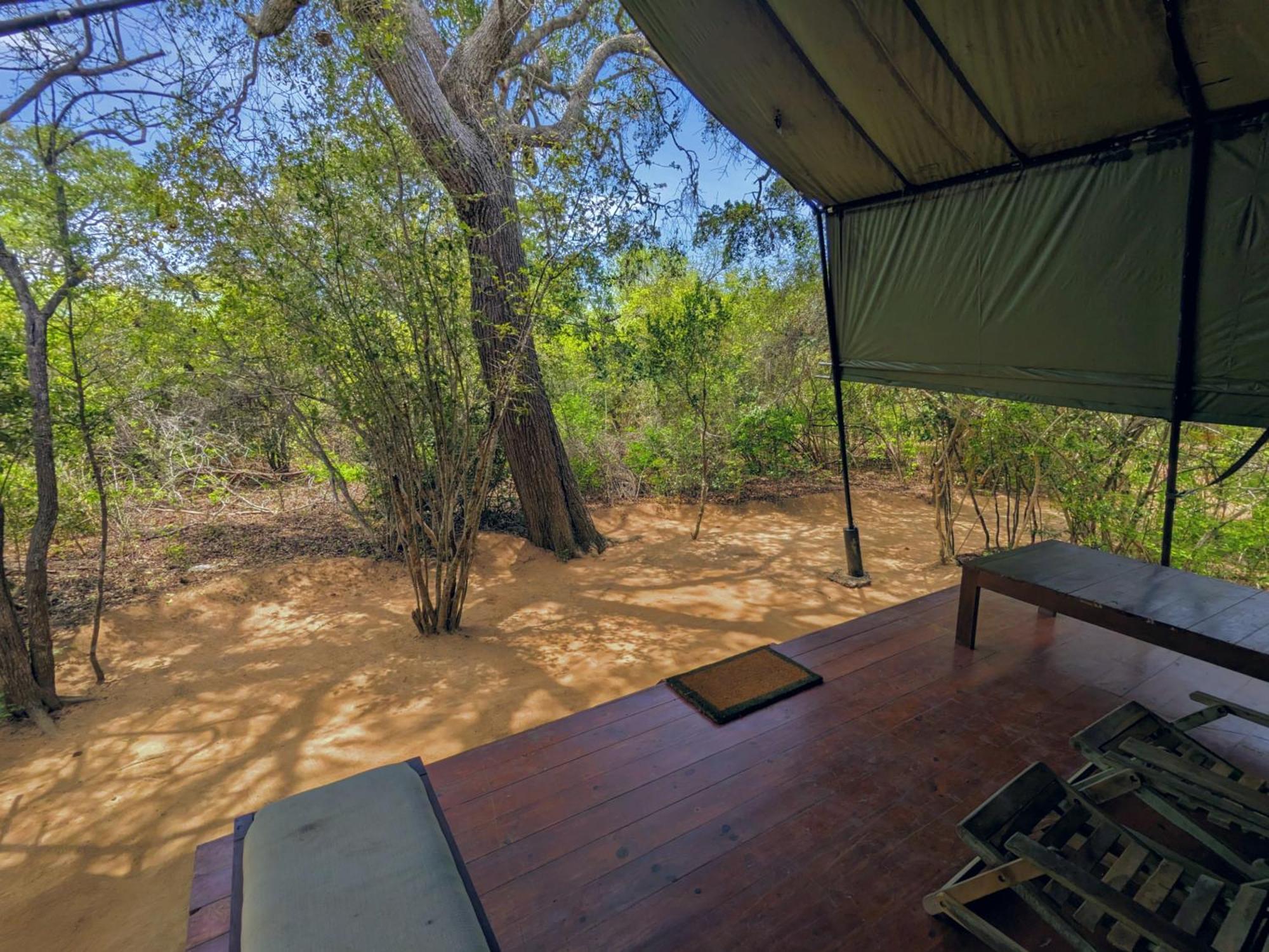 Yala Hotel Lion -Air Conditioned High Luxury Safari Camp Екстериор снимка